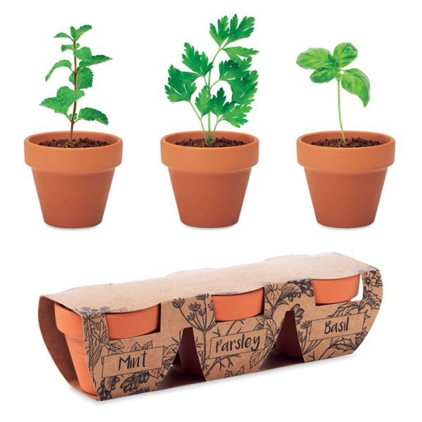 Juego de Macetas de Terracota