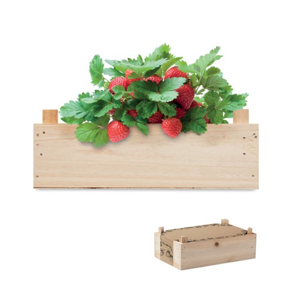 Kit de Fresas en Caja Madera