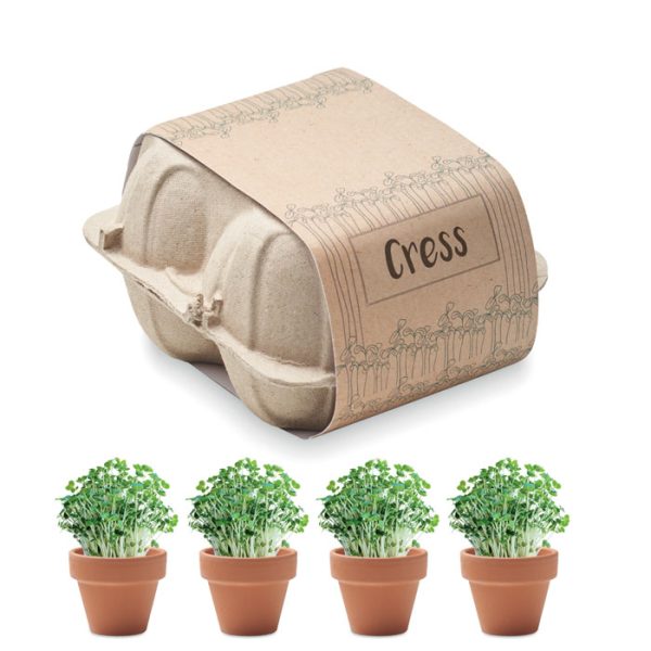 Kit de Cultivo en Huevera