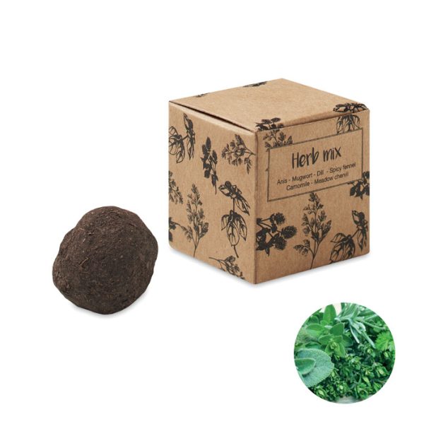 Kit de Semillas de Hierbas