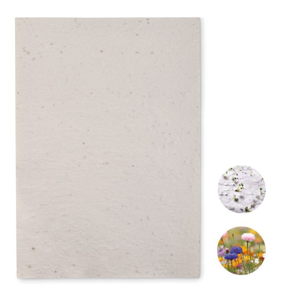 Hoja a4 de Papel con Semillas