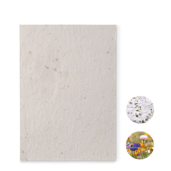 Hoja a5 de Papel con Semillas