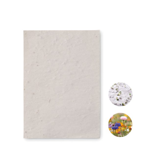 Hoja a6 de Papel con Semillas