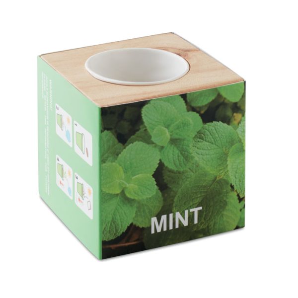 Maceta con Semillas de Menta