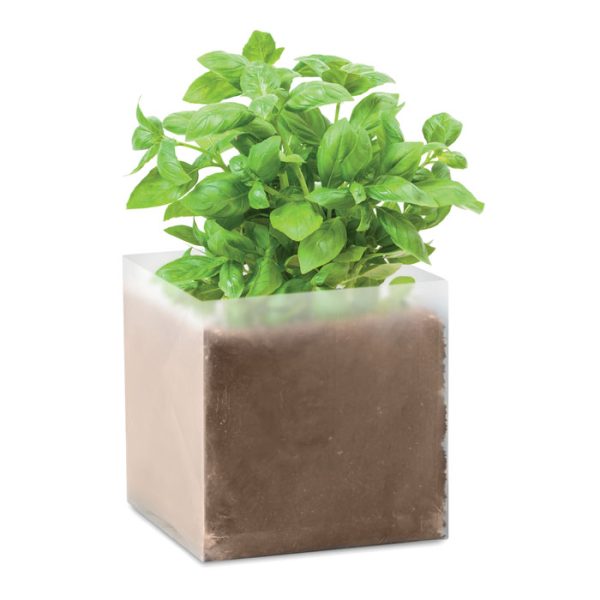 Bolsa de Semillas de Albahaca