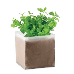Bolsa semillas de menta