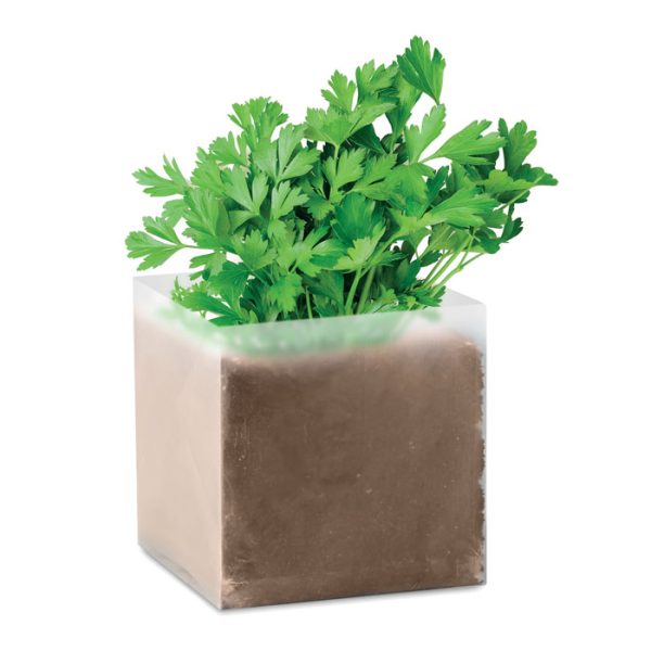 Bolsa con Semillas de Perejil
