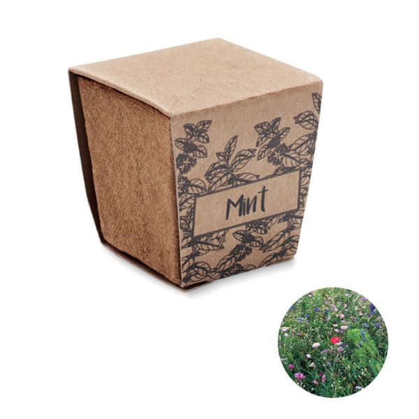 Kit Cultivo Semillas de Menta